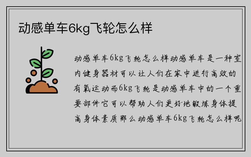 动感单车6kg飞轮怎么样